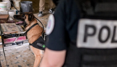 un dealer de 18 ans interpellé avec 1.000 euros dans ses chaussures