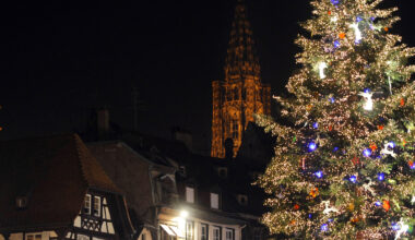 un candidat LFI aux municipales de Strasbourg veut rendre payant l'accès au marché de Noël