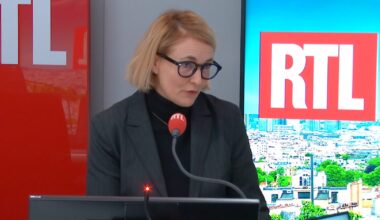 la numéro 2 du ministère de l'Intérieur explique sur RTL qu'il était "difficile de dire" que le suspect avait été naturalisé en 2018