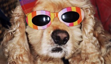 11 expositions à ne pas manquer à Paris en 2026