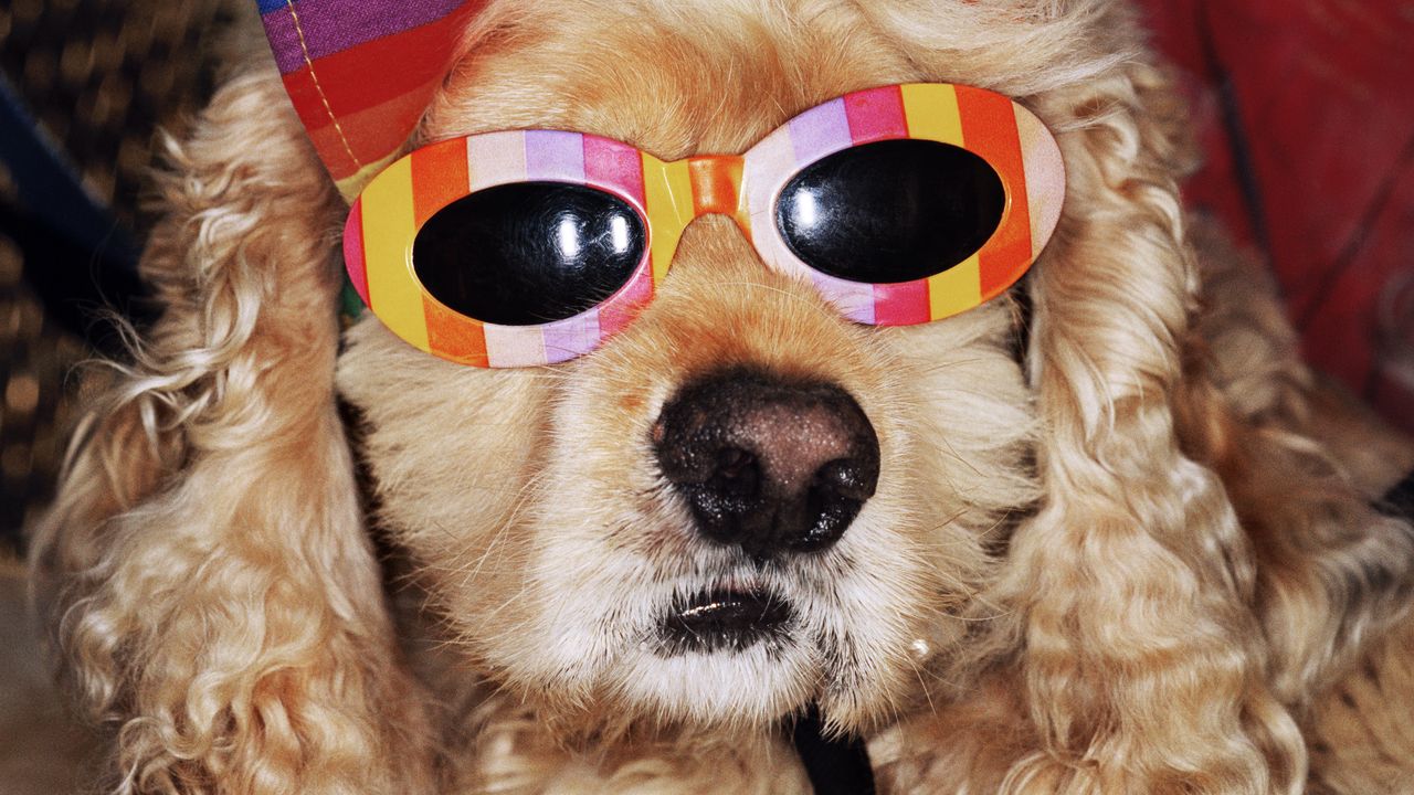 11 expositions à ne pas manquer à Paris en 2026