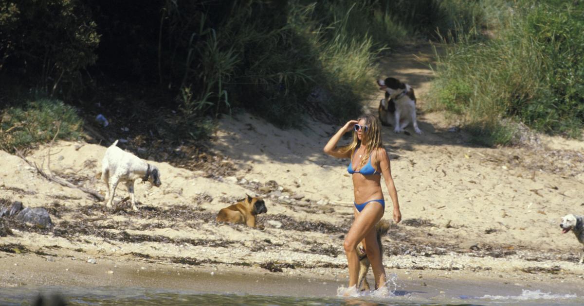 La Madrague, éternel refuge de Brigitte Bardot à Saint-Tropez