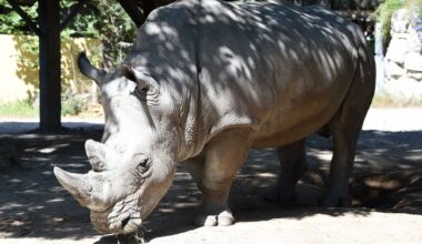 Page d'accueil Yahoo news