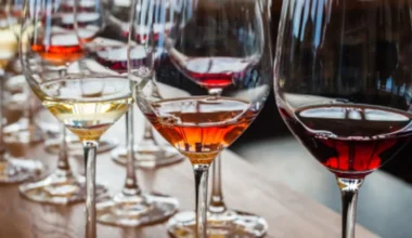 1ère initiation à la dégustation de vins à Strasbourg (67), Gastronomie : date, horaires, tarifs