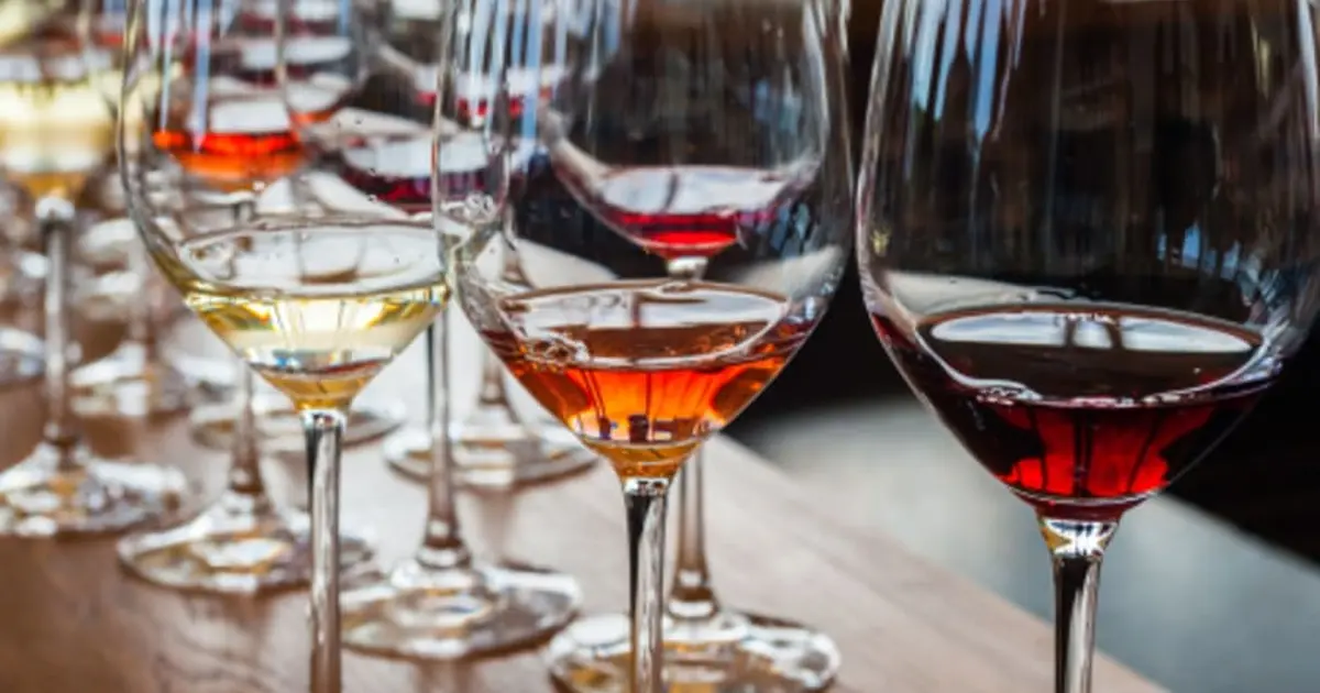 1ère initiation à la dégustation de vins à Strasbourg (67), Gastronomie : date, horaires, tarifs