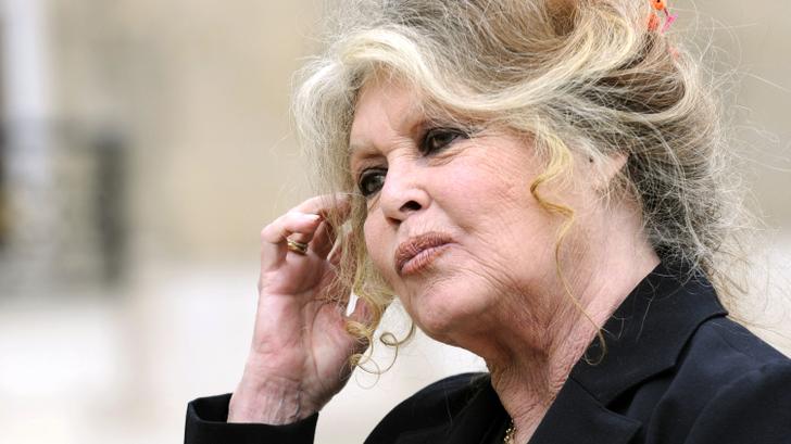 Brigitte Bardot appelle « tout le monde à se calmer » sur son état de santé (Photo prise en septembre 2007)