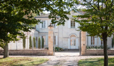 Coup de cœur pour ce vin de Bordeaux aux fines notes de champignons des bois