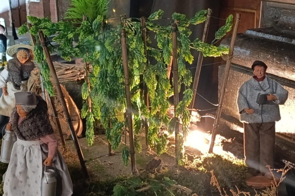 Nouveauté 2025 : une houblonnière. crèche lille