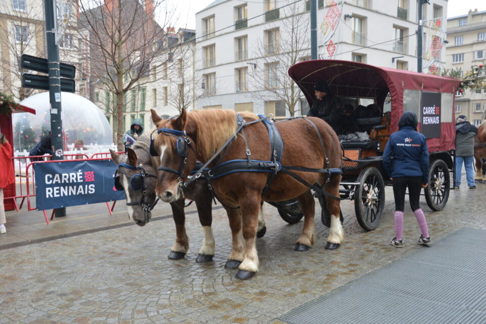 calèche Noël