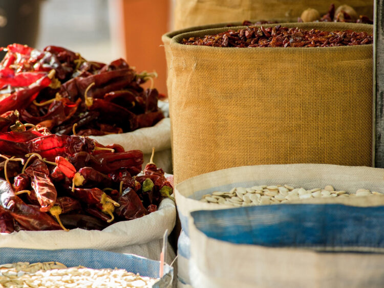 Ëretz : quand la passion du voyage relie Marseille à Israël - 2 eretz