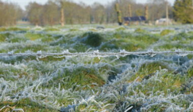 à quoi s'attendre pour la fin de l'année 2025 en Bretagne ? Les prévisions météo