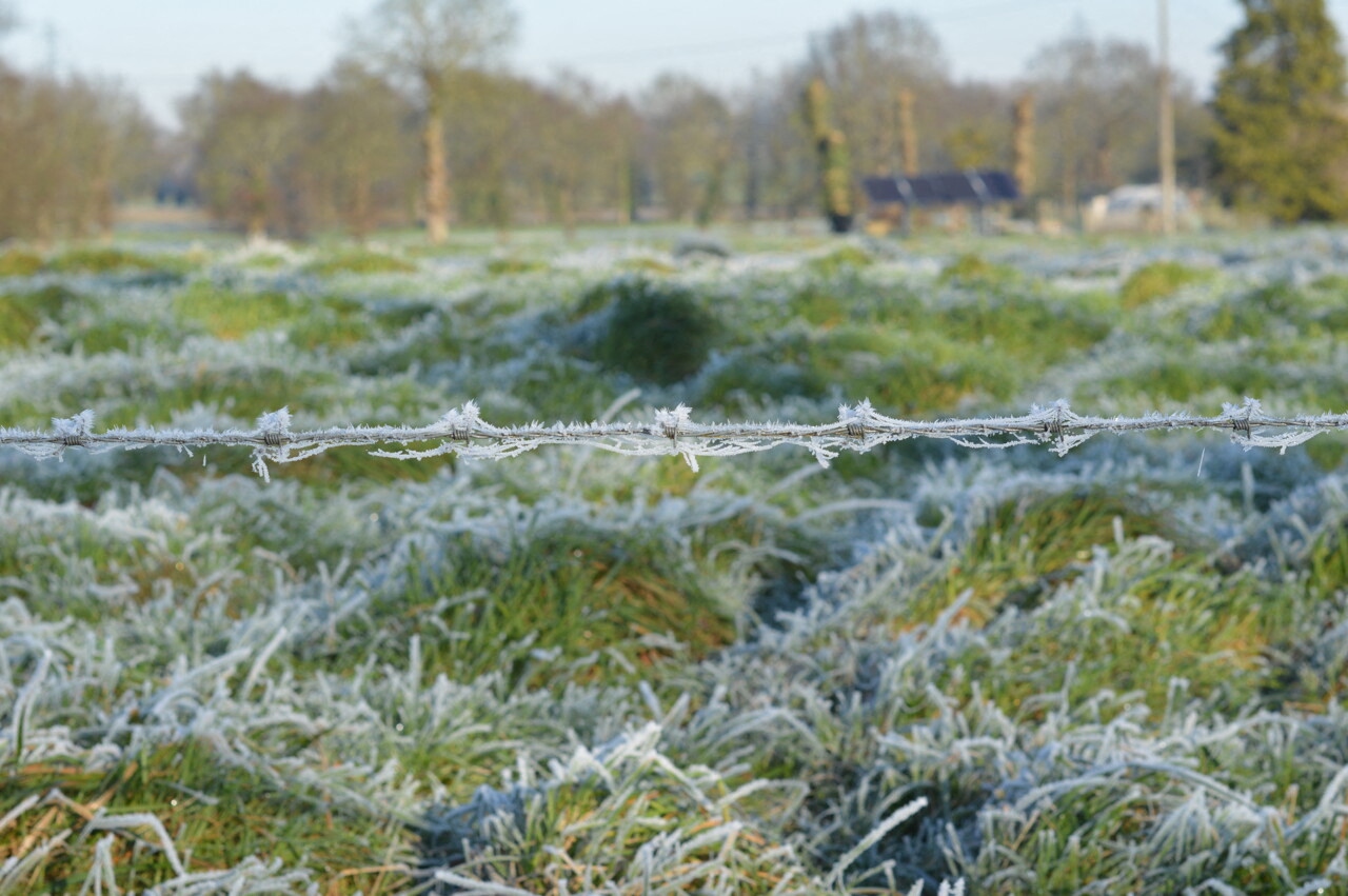 à quoi s'attendre pour la fin de l'année 2025 en Bretagne ? Les prévisions météo