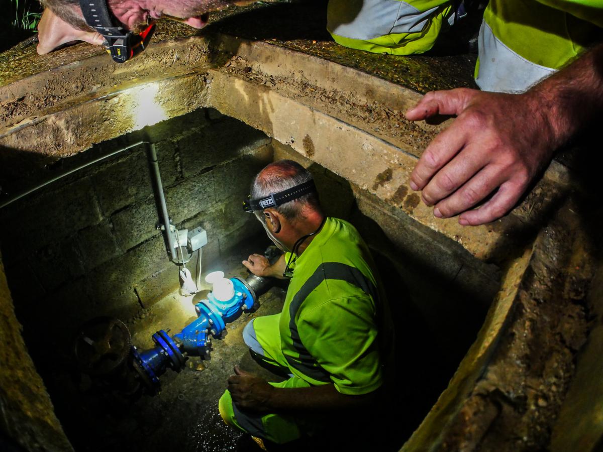 « 30 % de nos agents utilisent Chat GPT alors qu’on leur a demandé de ne pas le faire »