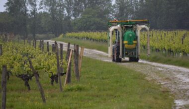 près de Bordeaux, les pesticides angoissent les riverains la vigne