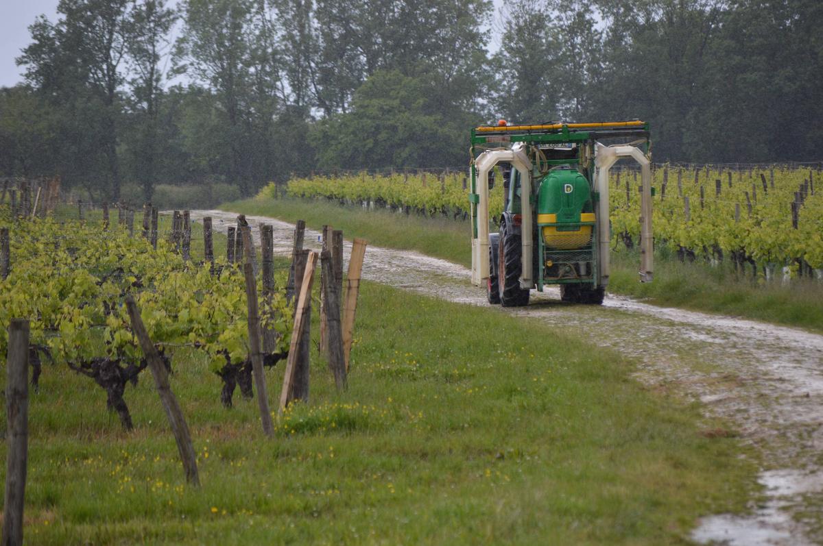 près de Bordeaux, les pesticides angoissent les riverains la vigne
