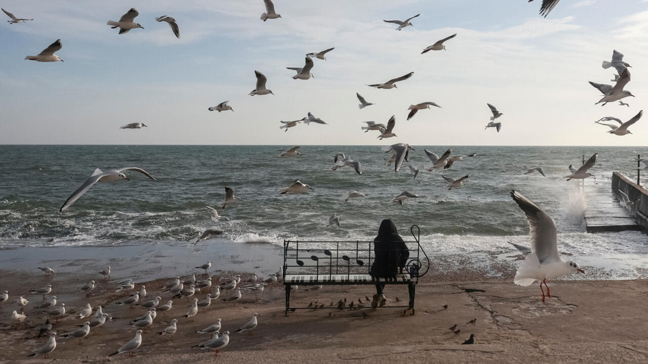 Ukraine: la loi autorisant les 18-22 ans à sortir du territoire crée un vif débat dans le pays - Reportage international