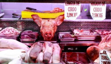 Le Royaume-Uni lève l'interdiction totale sur les importations de porc espagnol et adopte des contrôles régionaux