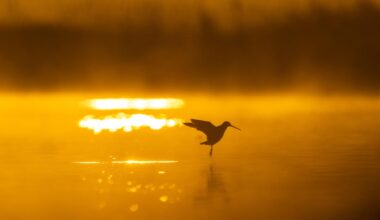 le tribunal administratif de Bordeaux déjugé