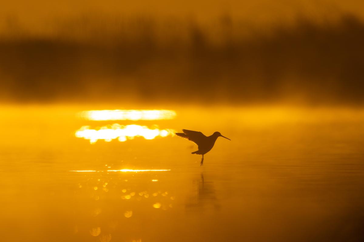 le tribunal administratif de Bordeaux déjugé