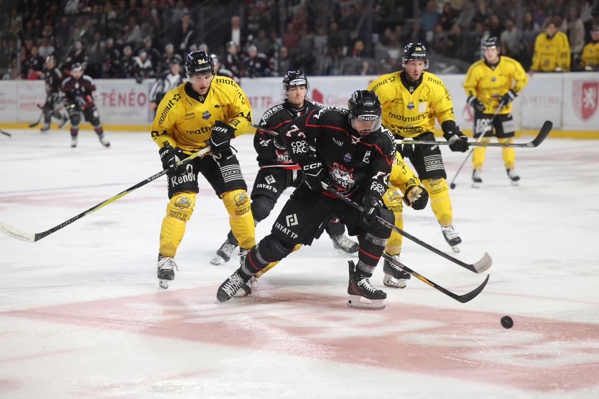 et à la fin, ce sont encore les Boxers qui gagnent !