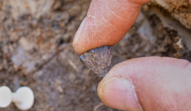 Logo de l'application