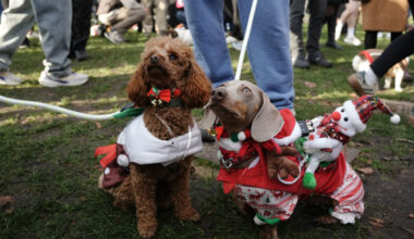 Logo de l'application