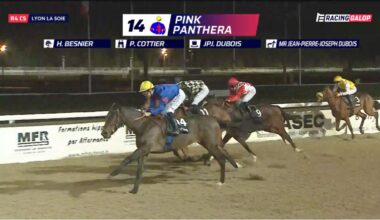 Lyon-La Soie : Pink Panthera débute et gagne !