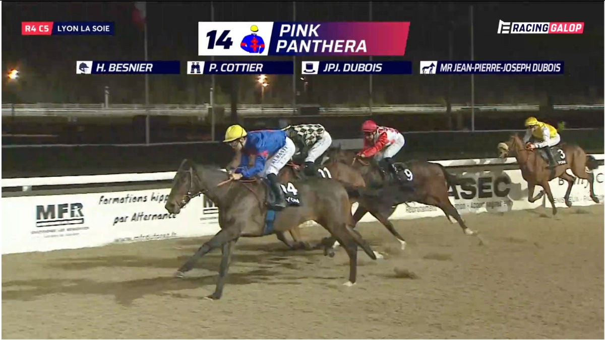 Lyon-La Soie : Pink Panthera débute et gagne !