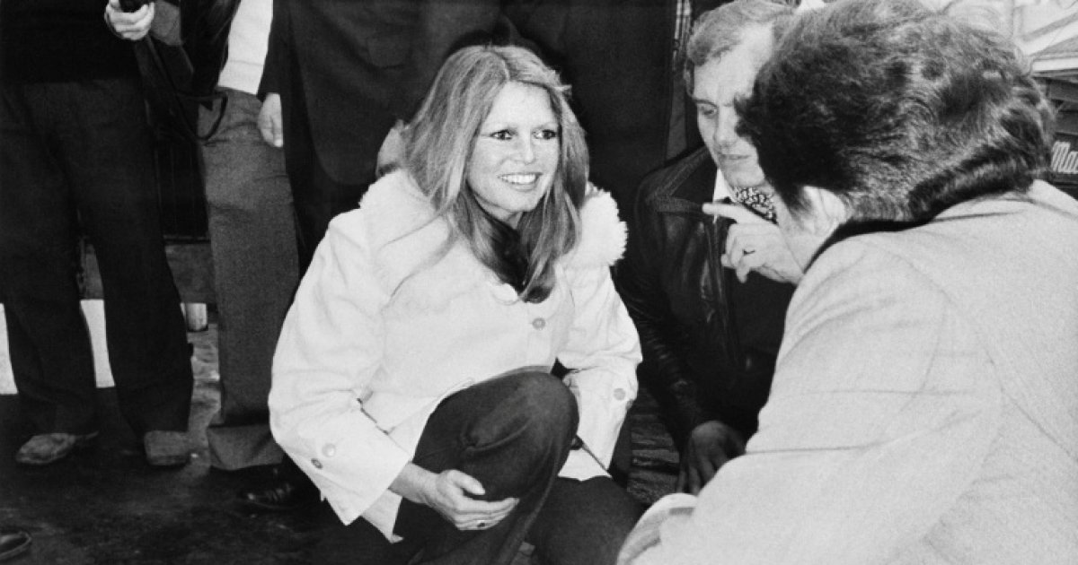 Brigitte Bardot, la passionaria des animaux : Actualités