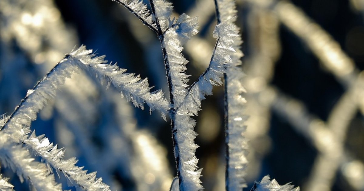 Météo : quel est cet épisode "Paris-Moscou" qui va faire chuter les températures en cette fin d’année ? : Actualités