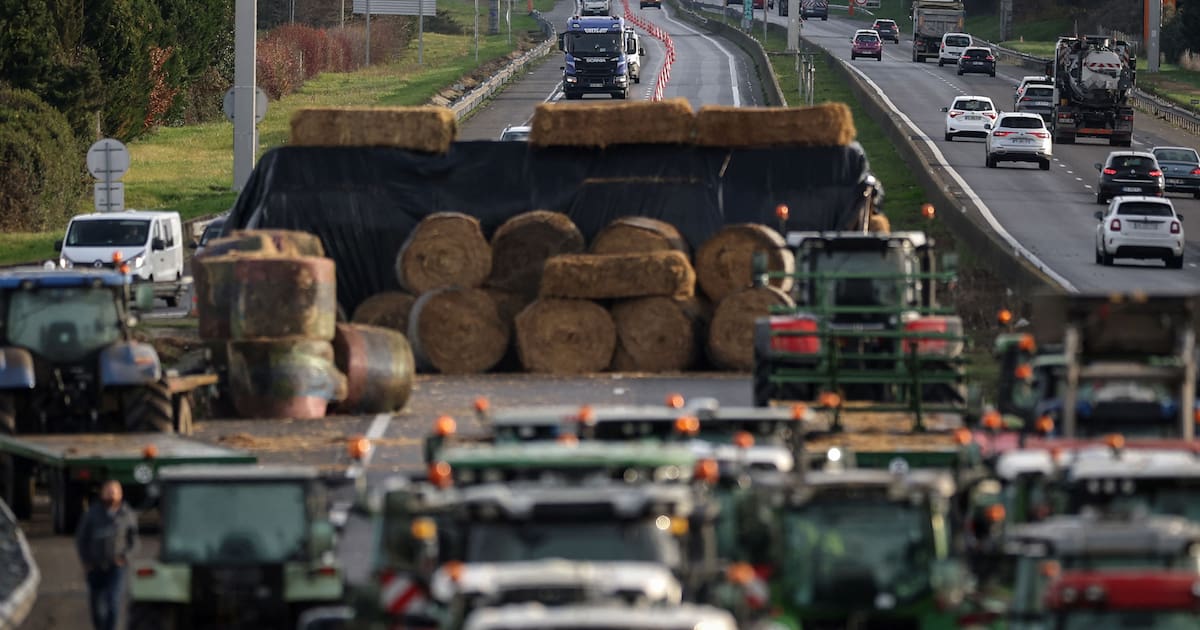 en Occitanie, Annie Genevard plaide «l’assouplissement du protocole» pour calmer la colère agricole – Libération