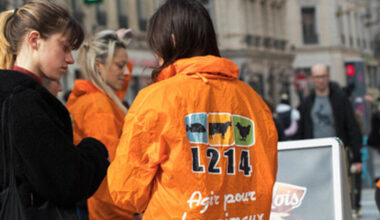 à Nantes, L214 prépare une action devant un magasin Carrefour