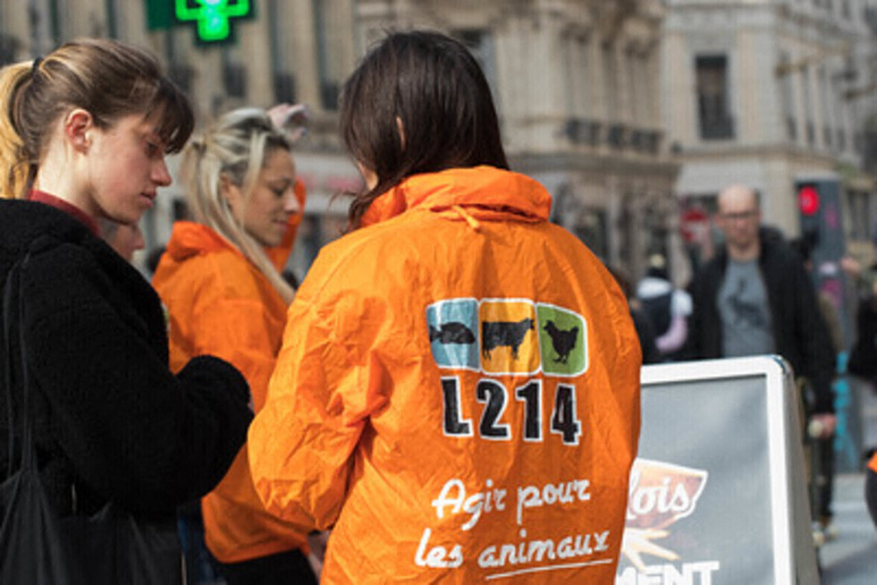 à Nantes, L214 prépare une action devant un magasin Carrefour