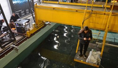 Centrale Nantes ouvre un diplôme d’ingénieur en génie océanique