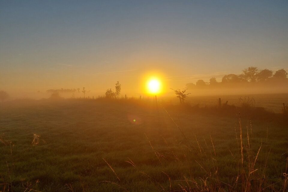 Des paysages encore sous la brume.
