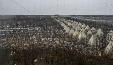 la Russie a attaqué l’Ukraine avec près de 100 drones dans la nuit de samedi à dimanche