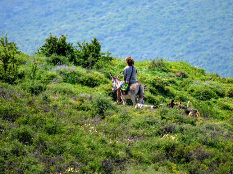 Ëretz : quand la passion du voyage relie Marseille à Israël - 3 eretz montagne