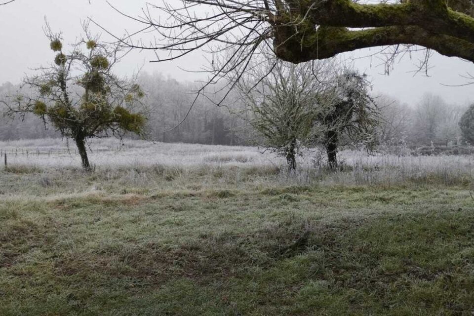 A Bazas, ce mercredi 31 décembre 2025. A l'appel du Républicain-Sud-Gironde, de nombreux lecteurs ont adressé des images de leur environnement, recouvert d'un manteau blanc.