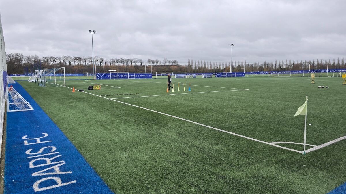 Agrandissement du Paris FC dans le parc du Grand-Godet : pourquoi le Val-de-Marne dit oui