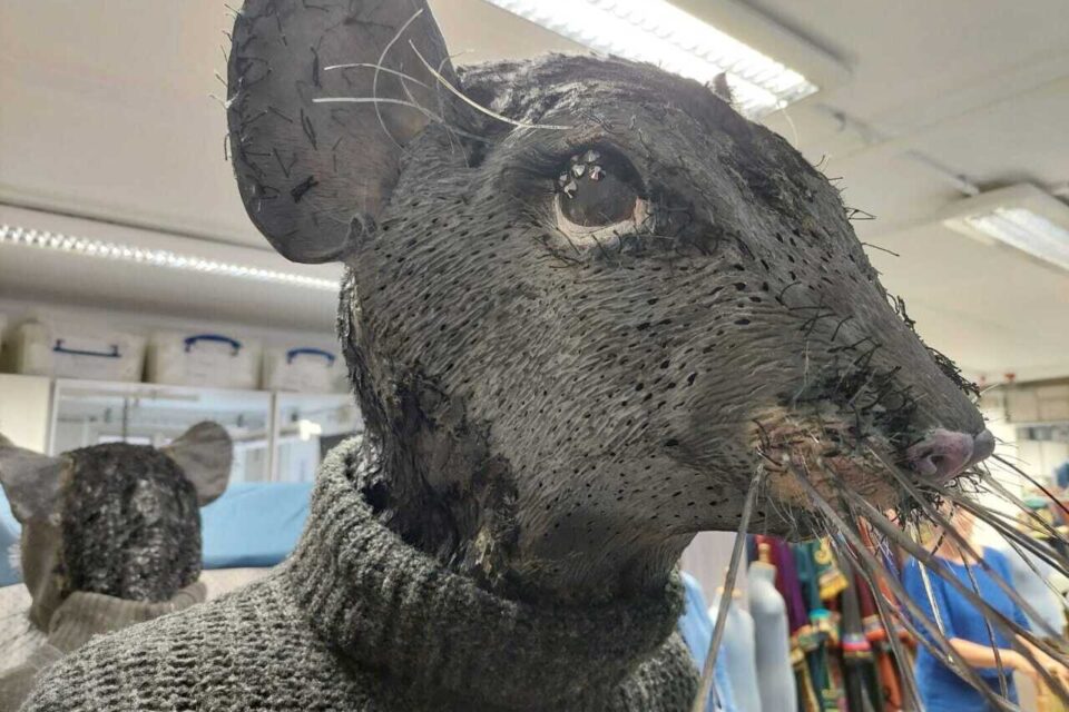 Costume Opéra Nantes