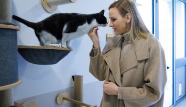 Administré par Monaco, le refuge de la SPA de cette commune près de Nice gagne en confort