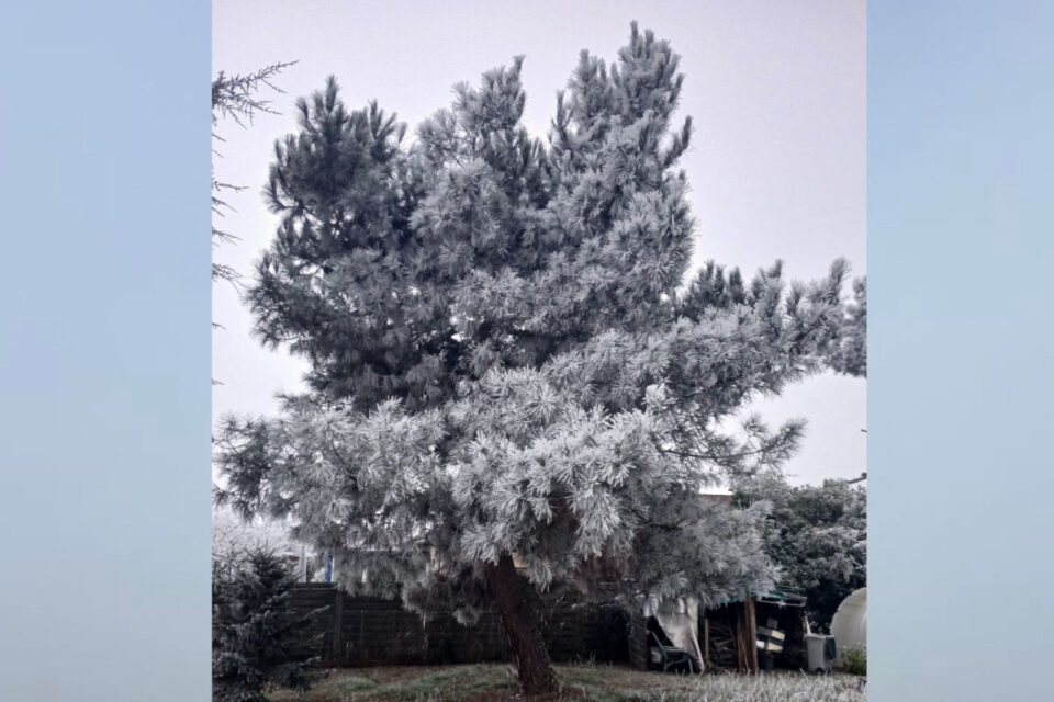 A l'appel du Républicain-Sud-Gironde, de nombreux lecteurs ont adressé des images de leur environnement, recouvert d'un manteau blanc.
