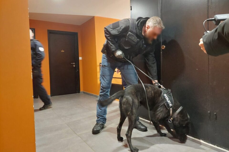 Police_Nantes_drogue_cynophile_Chien