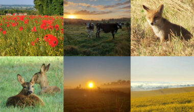 Choisissez votre photo préférée parmi la sélection de nos 25 plus beaux clichés 2025 dans le Pays de Bray