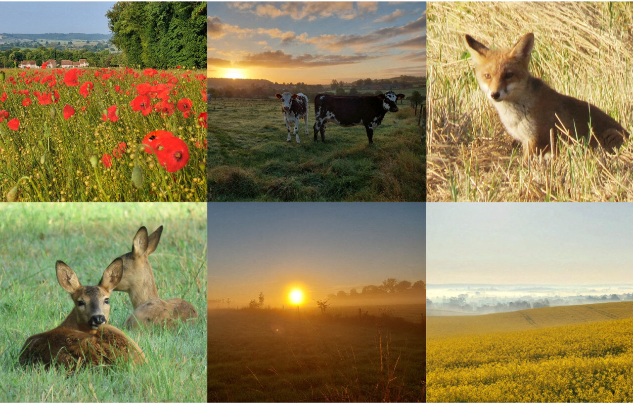 Choisissez votre photo préférée parmi la sélection de nos 25 plus beaux clichés 2025 dans le Pays de Bray