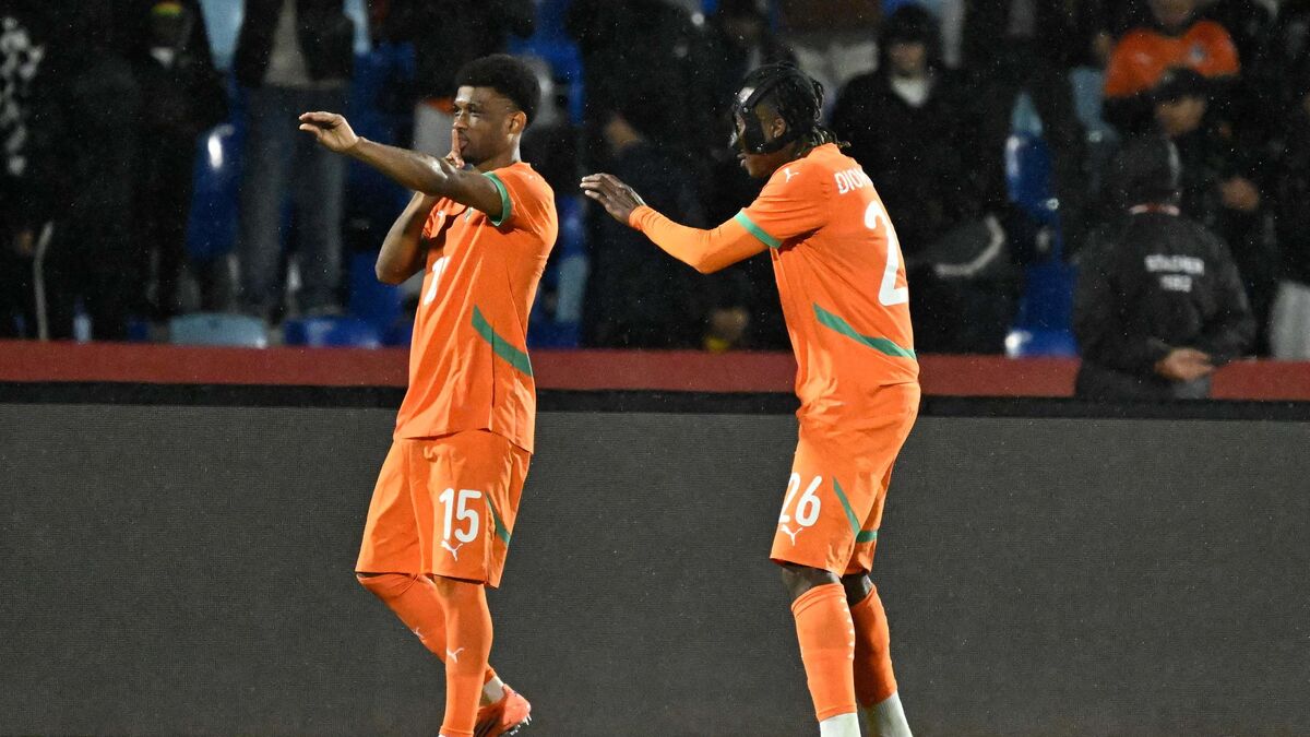 DIRECT. Côte d’Ivoire - Mozambique (1-0) : Diallo permet aux Eléphants de trouver la faille