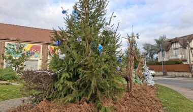 Près de Rouen, cette commune se fait (encore) dérober plusieurs sapins de Noël