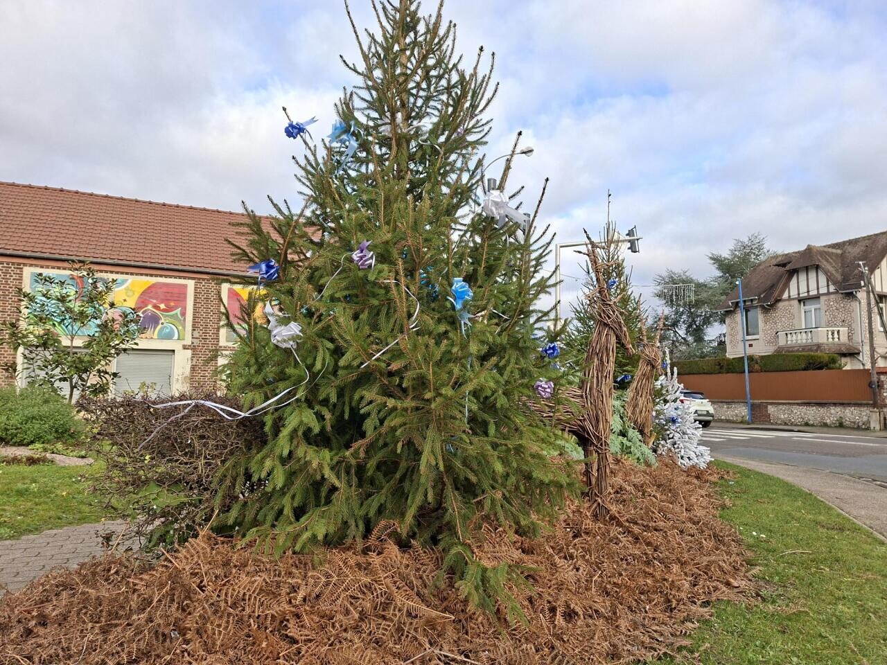 Près de Rouen, cette commune se fait (encore) dérober plusieurs sapins de Noël