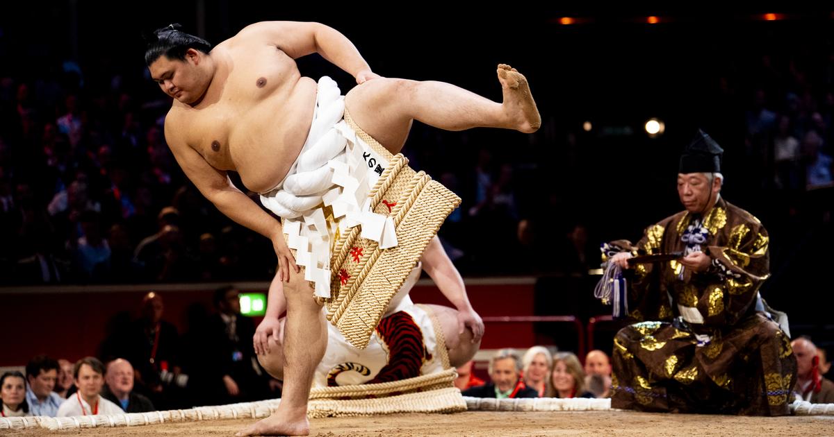 Plus de 2000€ le billet, la folie autour de la venue des plus grands sumotoris à Paris