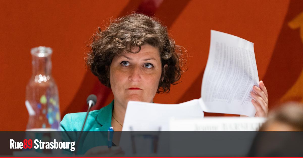 Strasbourg. Résumé des points votés au conseil municipal de décembre